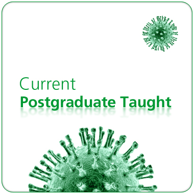 Current taught postgraduate student pages